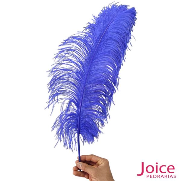 Pena De Avestruz Chorona De 60-65cm – 1 Unidade