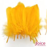 Penas De Cegonha Soltas C/200-Unidades - Imagem 15