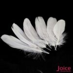 Penas De Cegonha Soltas C/200-Unidades - Imagem 11