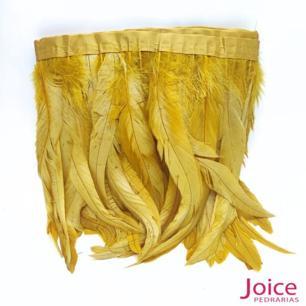 dourado