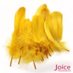 Penas De Cegonha Soltas C/200-Unidades - Imagem 4