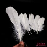 Penas De Cegonha Soltas C/200-Unidades - Imagem 13