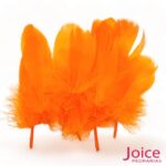 Penas De Cegonha Soltas C/200-Unidades - Imagem 8