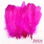 Penas De Cegonha Soltas C/200-Unidades - Imagem 7