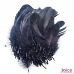 Penas De Cegonha Soltas C/200-Unidades - Imagem 21