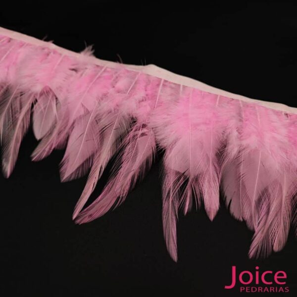 rosa-chiclete
