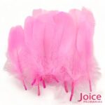 Penas De Cegonha Soltas C/200-Unidades - Imagem 17