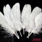 Penas De Cegonha Soltas C/200-Unidades - Imagem 9