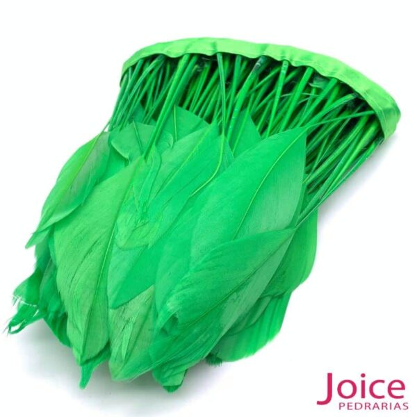 Verde Bandeira