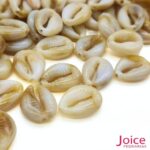 Búzios De Resina C/500Gramas - Imagem 6